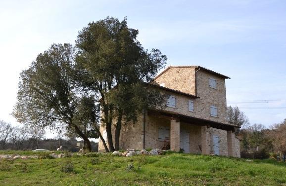 Agriturismo Surripa Amelia Zewnętrze zdjęcie