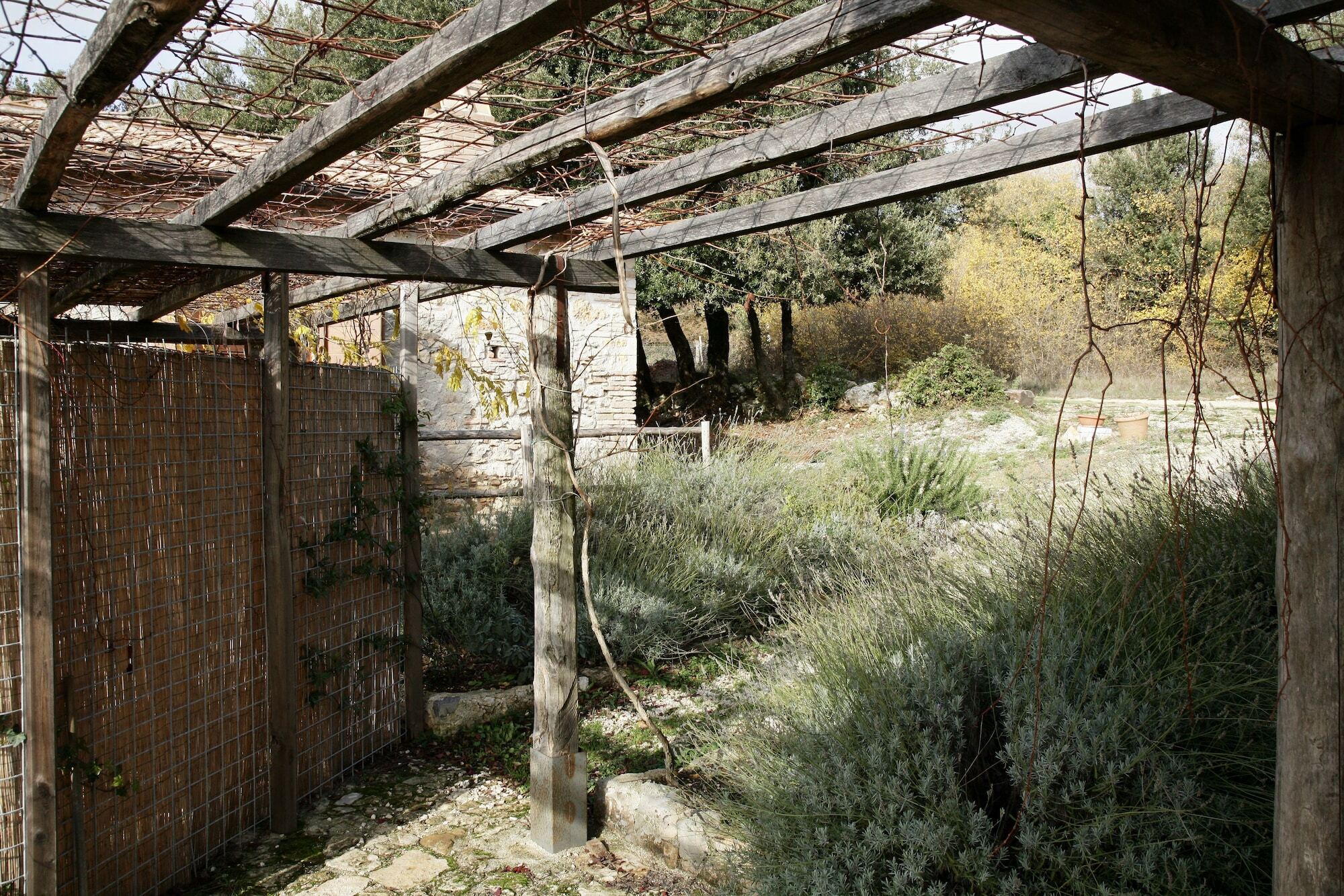 Agriturismo Surripa Amelia Zewnętrze zdjęcie